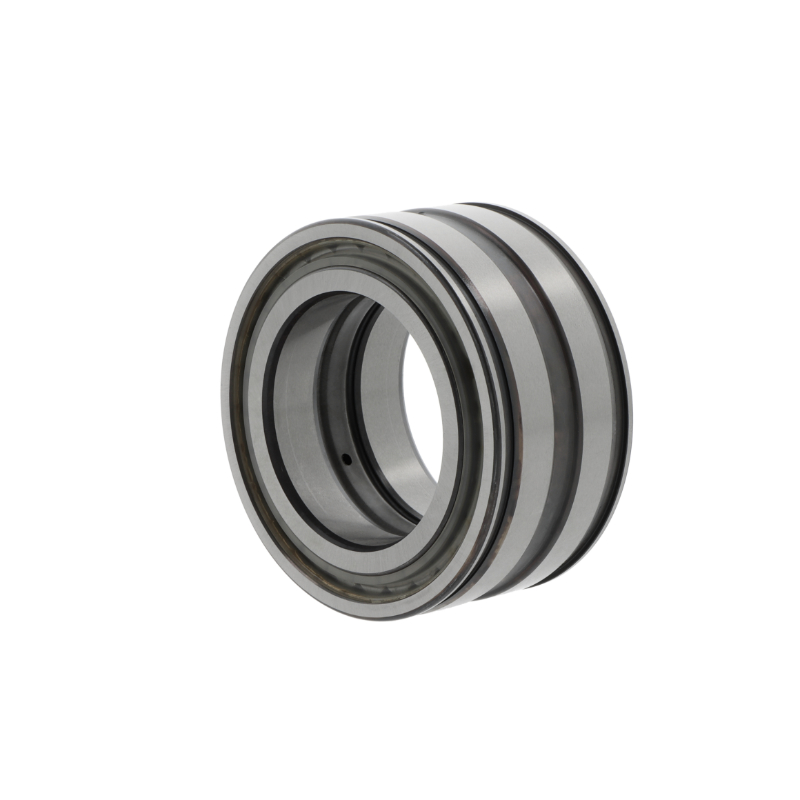 INA Zylinderrollenlager SL045020 -D-PP-C3