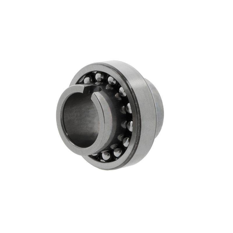 SKF Pendelkugellager 11205  TN9