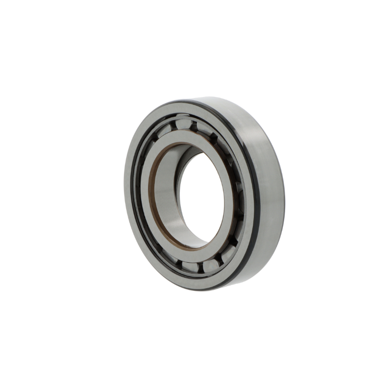 SKF Zylinderrollenlager BC1-0013  E SKF Zylinderrollenlager BC1-0013  E