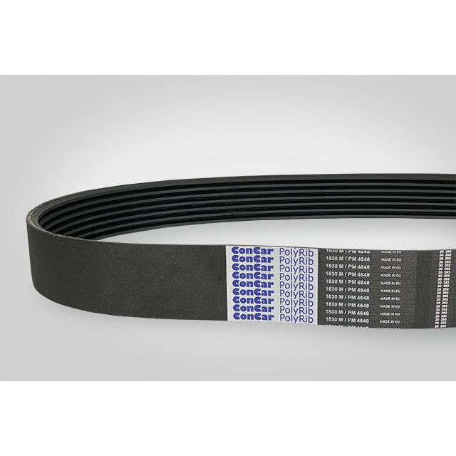 2 PM 4191 mm / 1650 M ConCar PolyRib