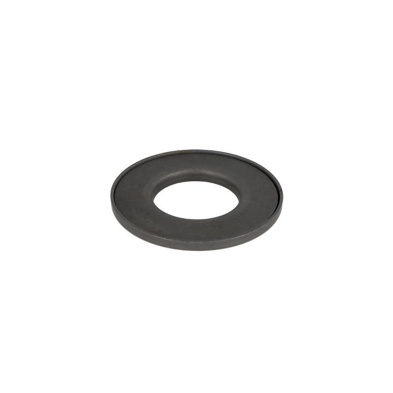 SKF Gehäusedichtungen Z308